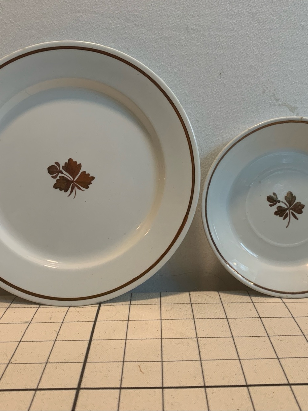 1890s Alfred Meakin Royal Ironstone “Tea Leaf” Plates - Spicy Family Drama Incl!